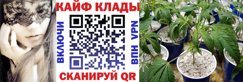 Купить наркотики цена Белёв Конопля Меф мяу мяу