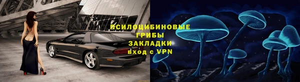 шишки Балабаново