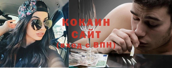шишки Балабаново